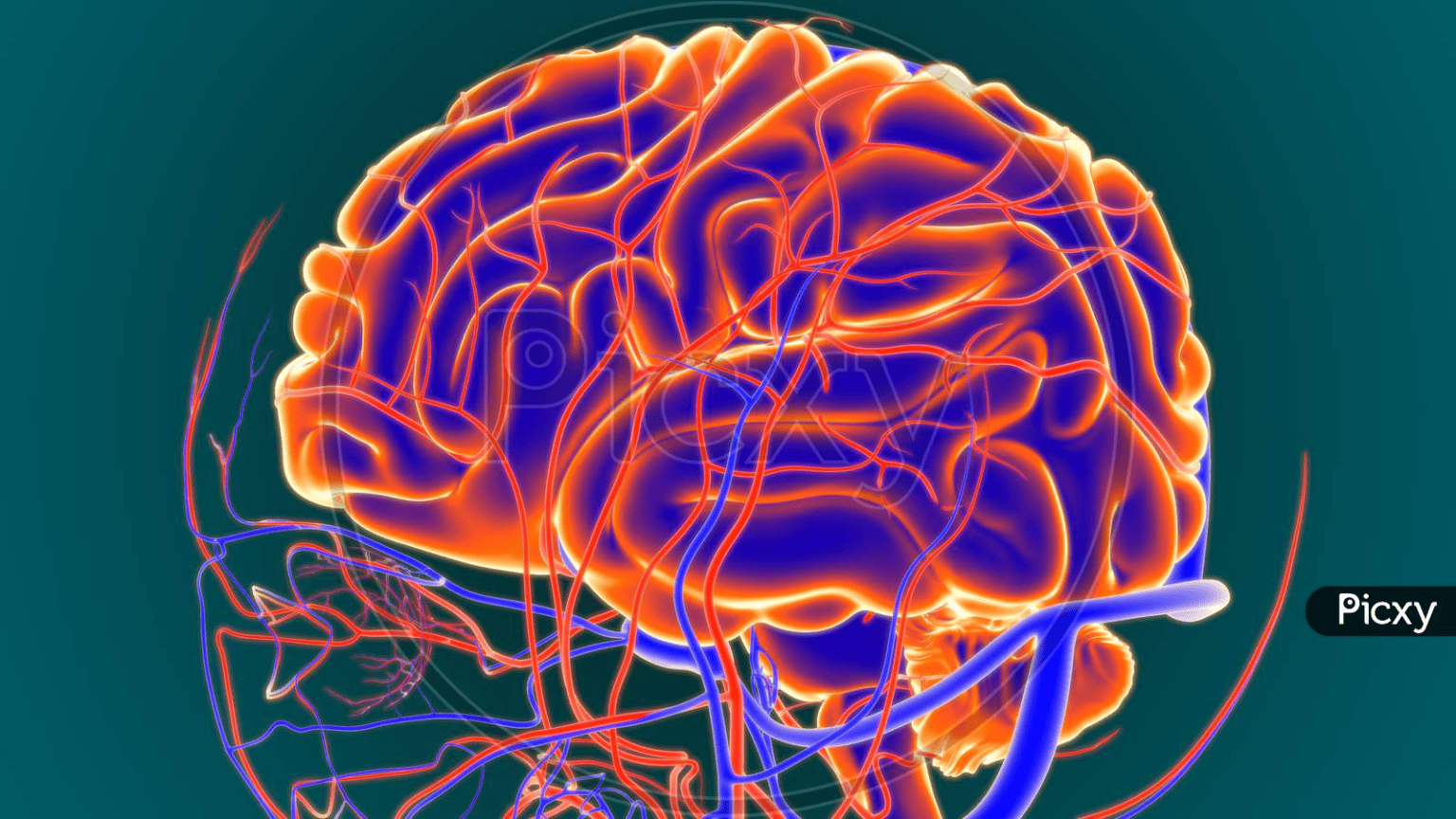 AI Is Unlocking the Human Brain’s Secrets | AI Valley